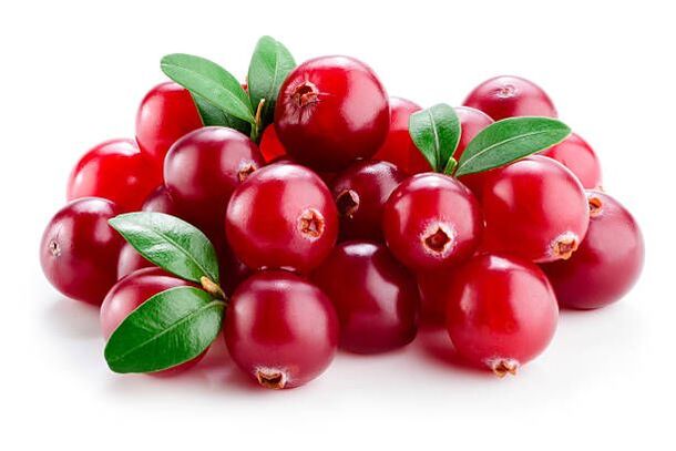 Cranberry in a plain