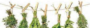 effective herbs against prostatitis
