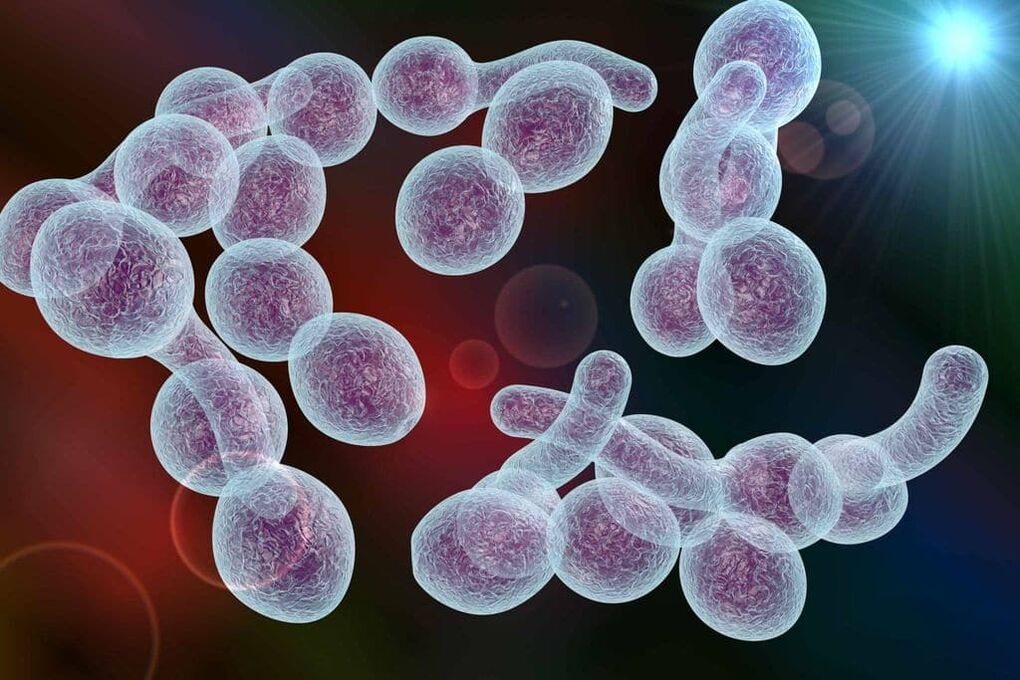 the causative agent of bacterial prostatitis in men